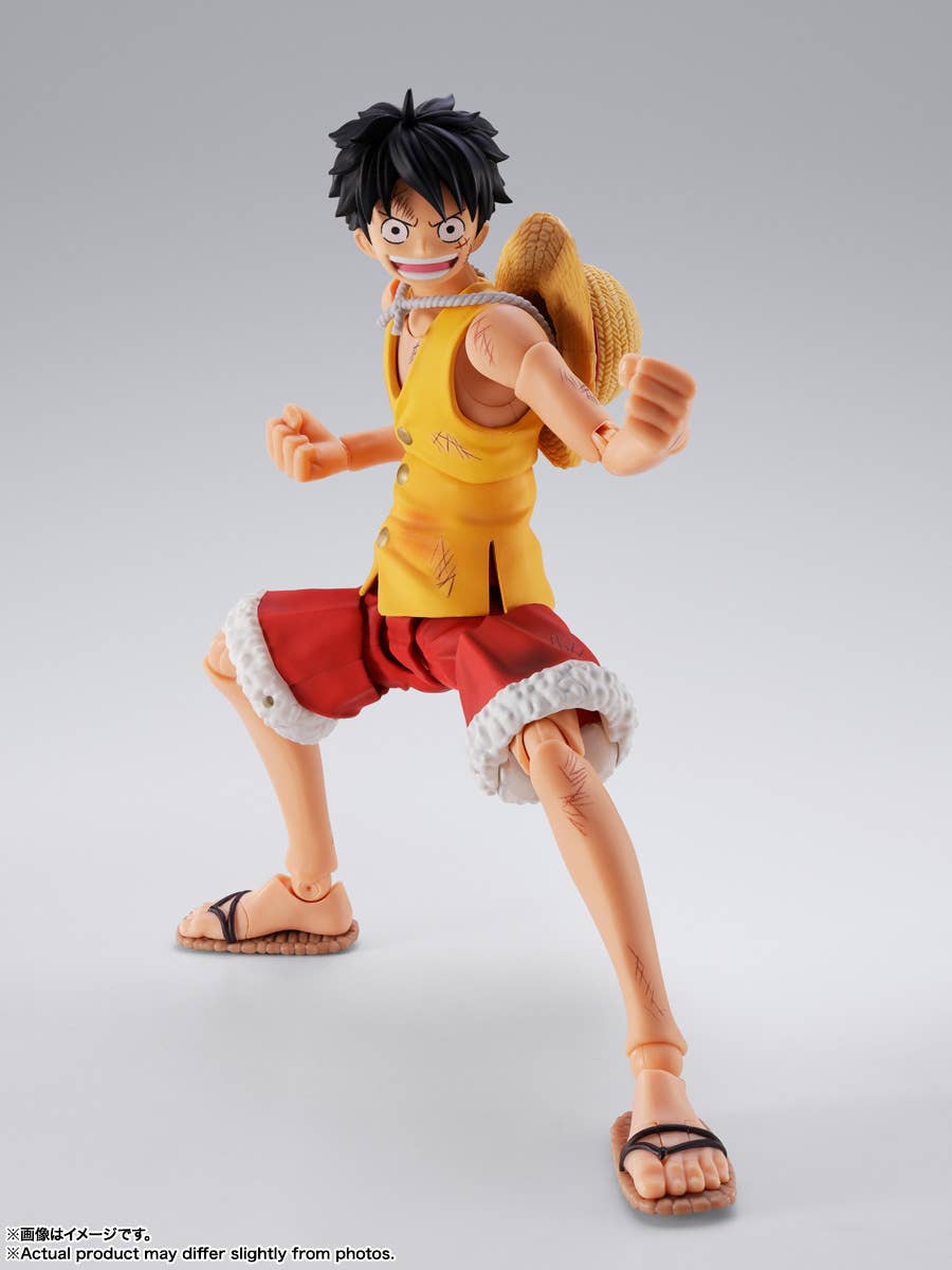 MONKEY D LUFFY -Summit War of Marineford- | 4573102692979