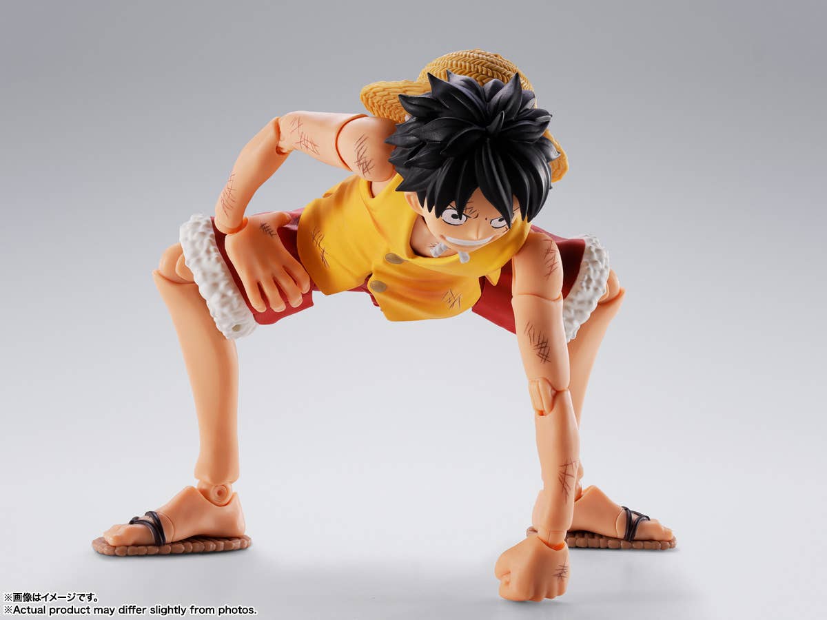 MONKEY D LUFFY -Summit War of Marineford- | 4573102692979