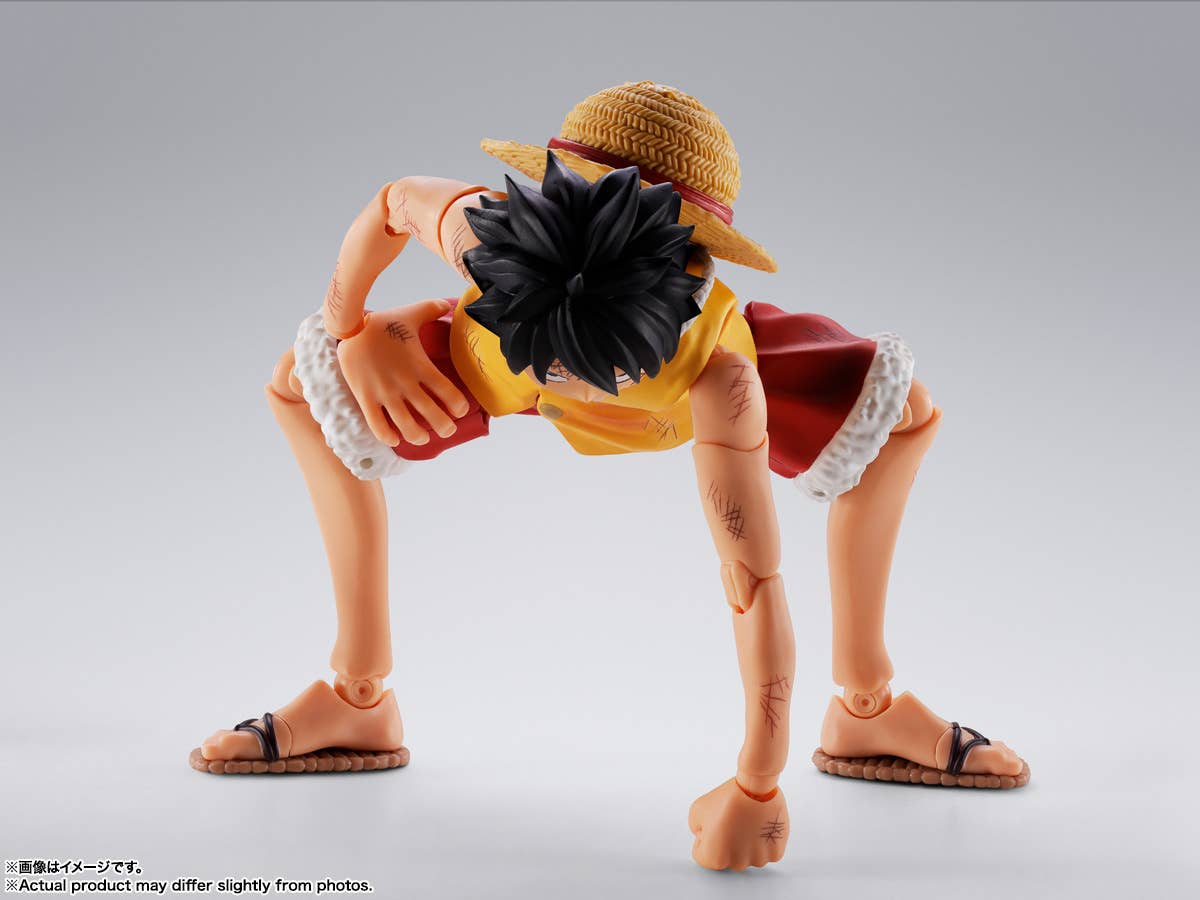 MONKEY D LUFFY -Summit War of Marineford- | 4573102692979