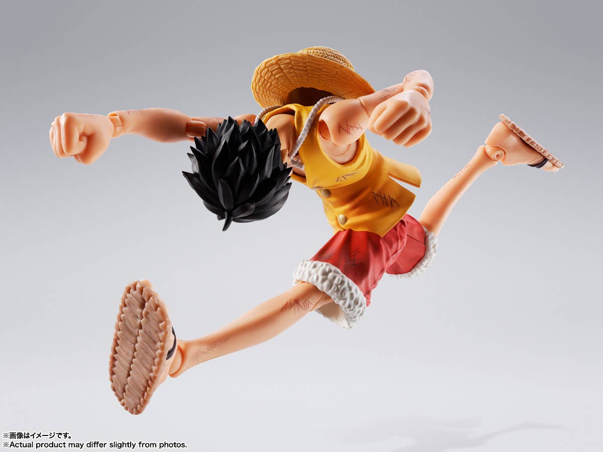 MONKEY D LUFFY -Summit War of Marineford- | 4573102692979
