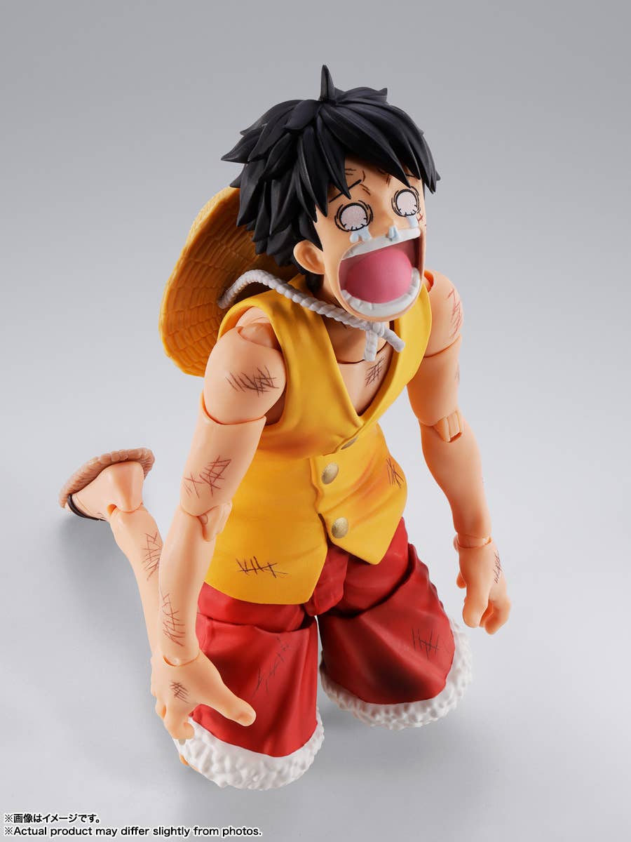 MONKEY D LUFFY -Summit War of Marineford- | 4573102692979
