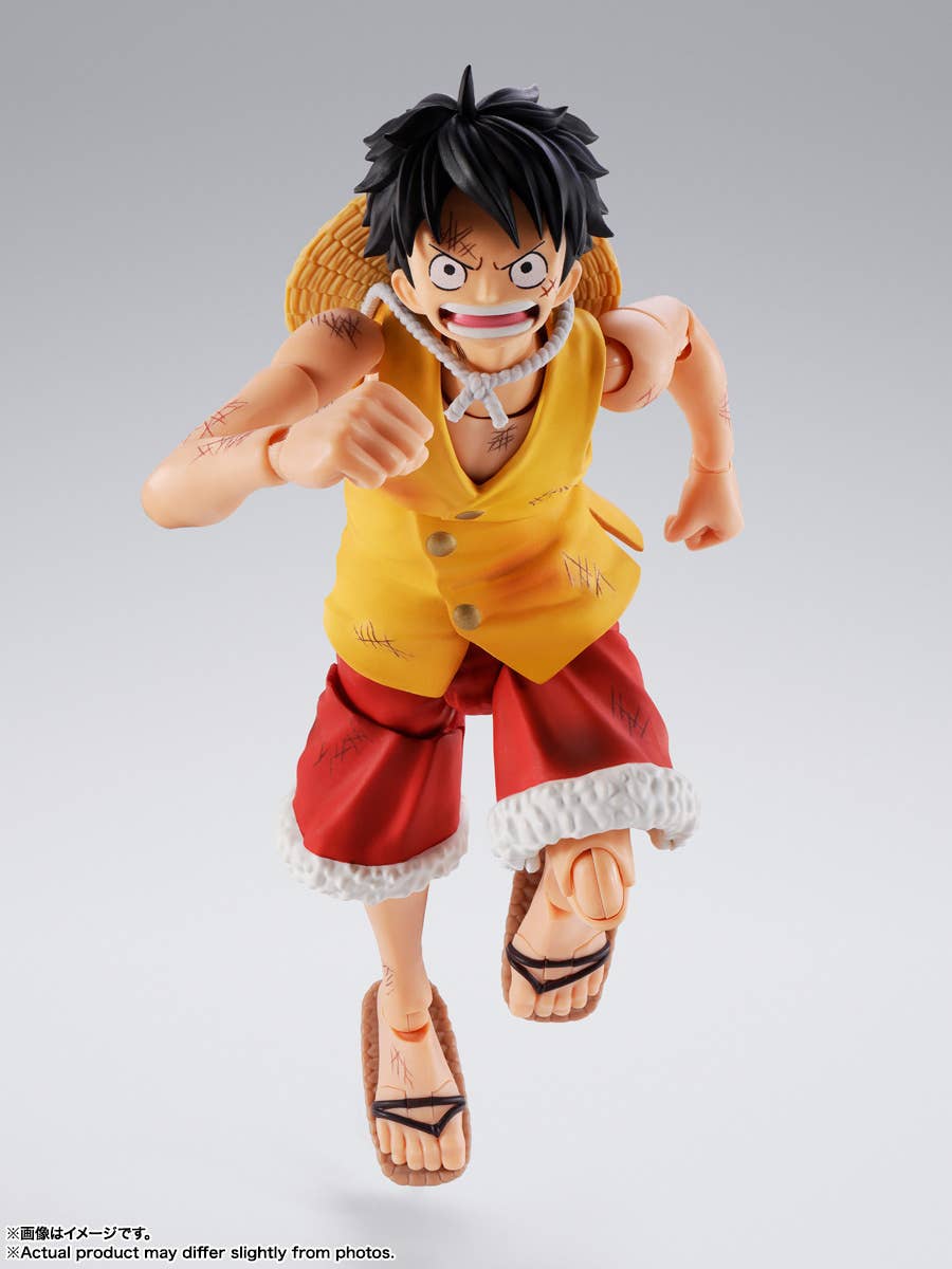 MONKEY D LUFFY -Summit War of Marineford- | 4573102692979