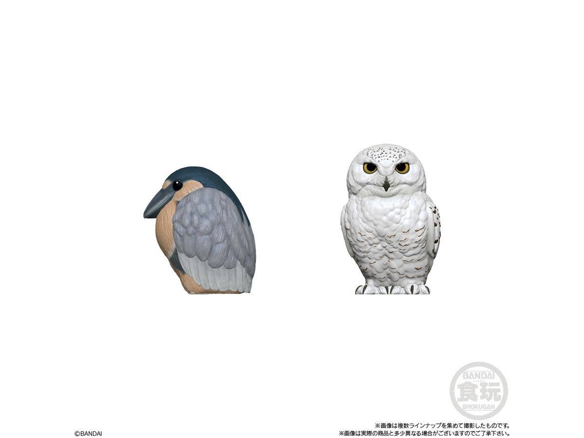 Bandai Shokugan Tenori Friends Tenori Friends 10 - Bird (Box/12) | 4570117910821