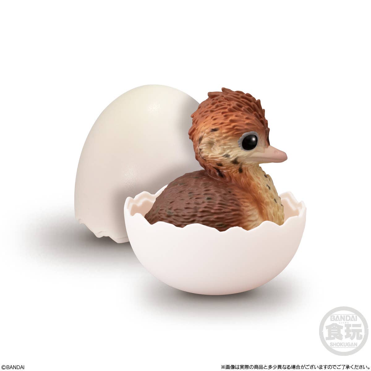 Tenori Baby Friends - Birds (Box/12) | 4570117920615