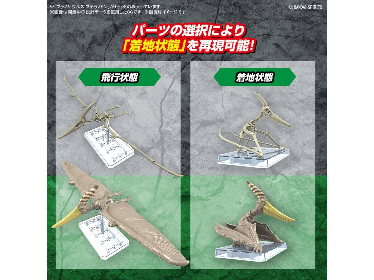 PLANNOSAURUS Pteranodon | 4573102662828