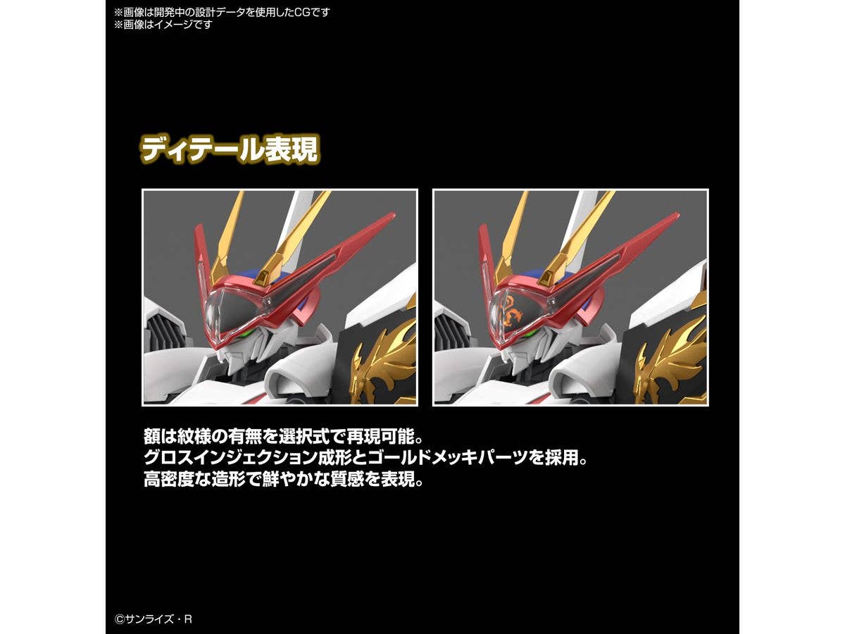 HG Amplified IMGN RYUOUMARU | 4573102663832