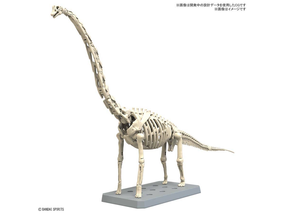 PLANNOSAURUS Brachiosaurus | 4573102674272
