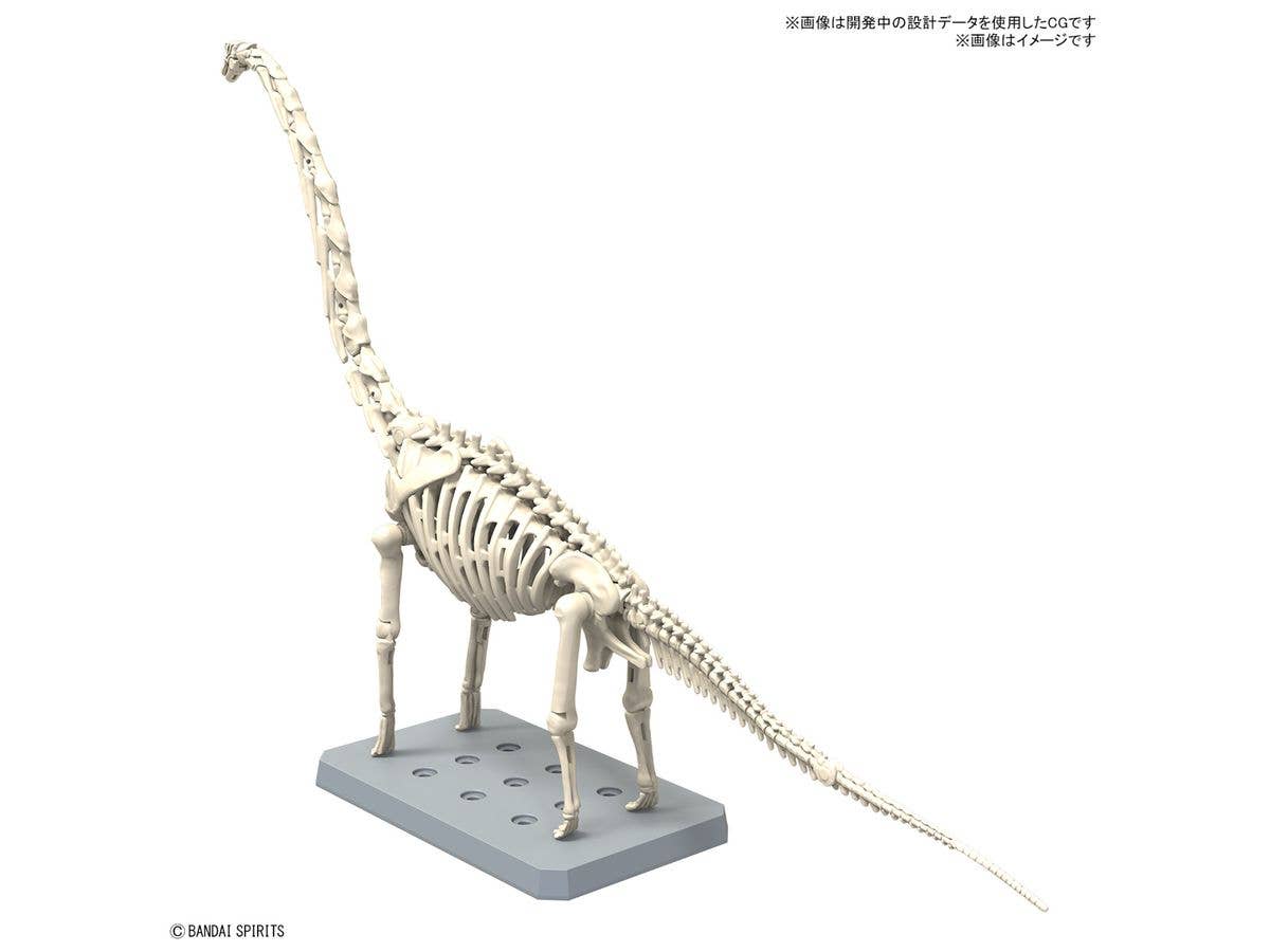 PLANNOSAURUS Brachiosaurus | 4573102674272
