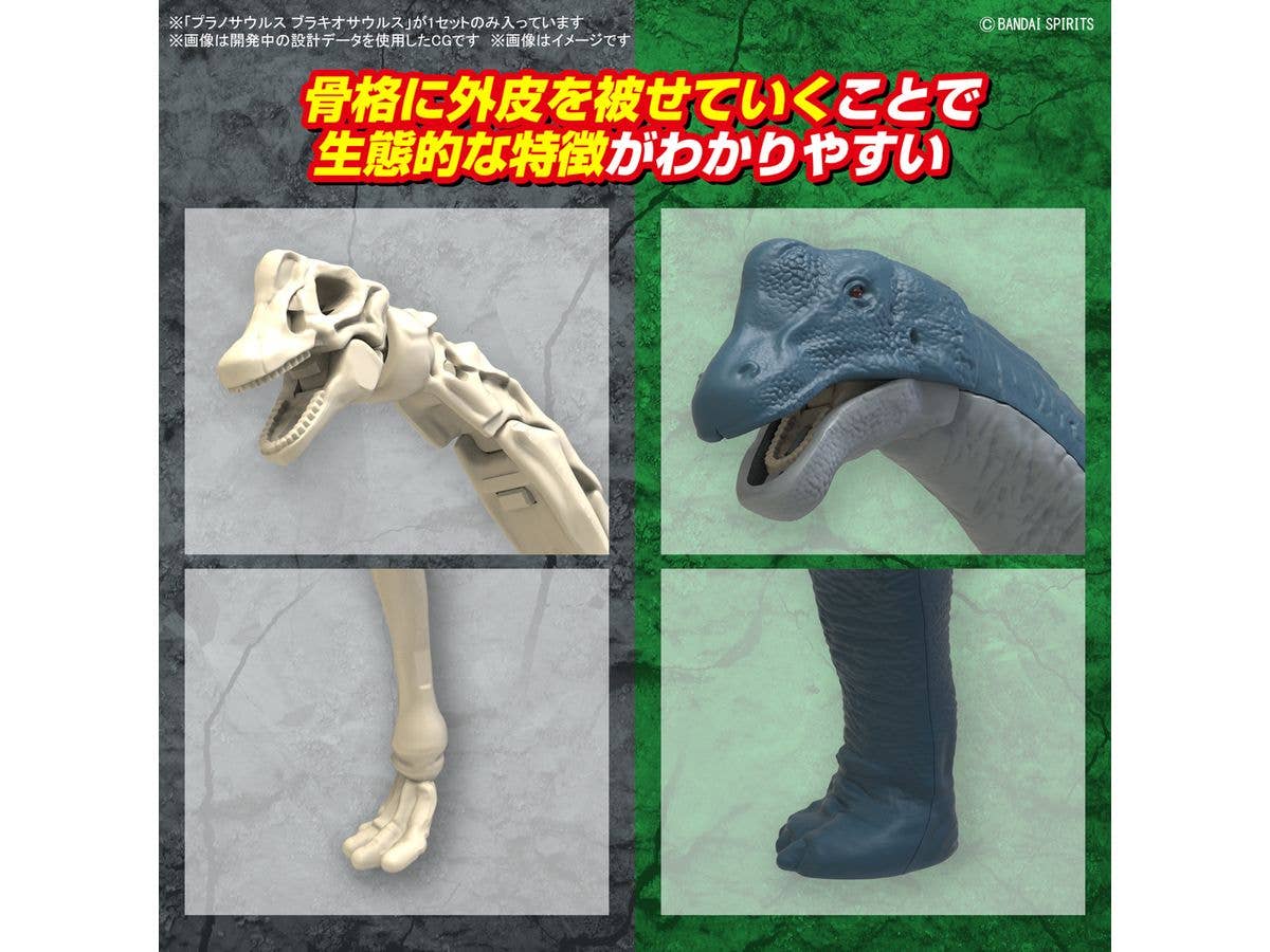 PLANNOSAURUS Brachiosaurus | 4573102674272