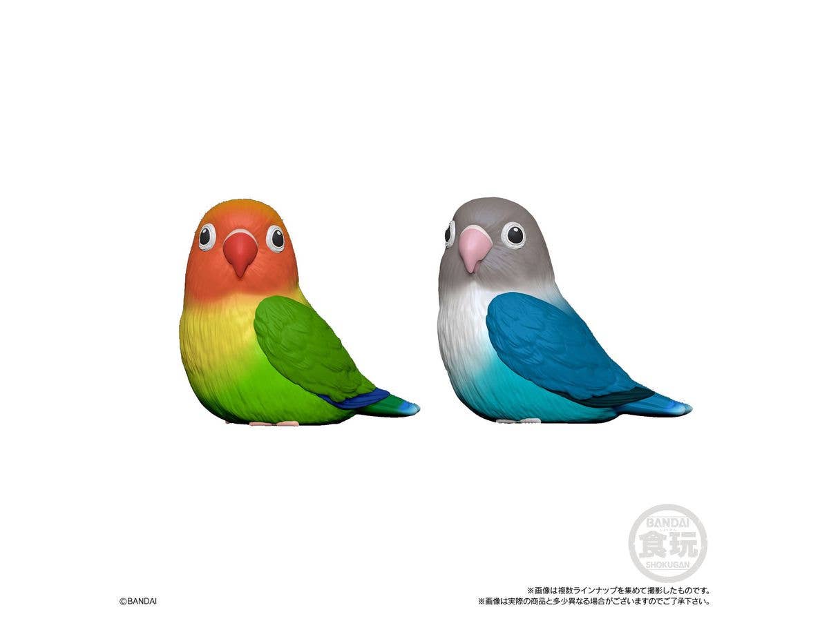 BANDAI Tenori Friends 4 Birds (Box/12), Bandai Shokugan Tenori Friends | 4549660628286