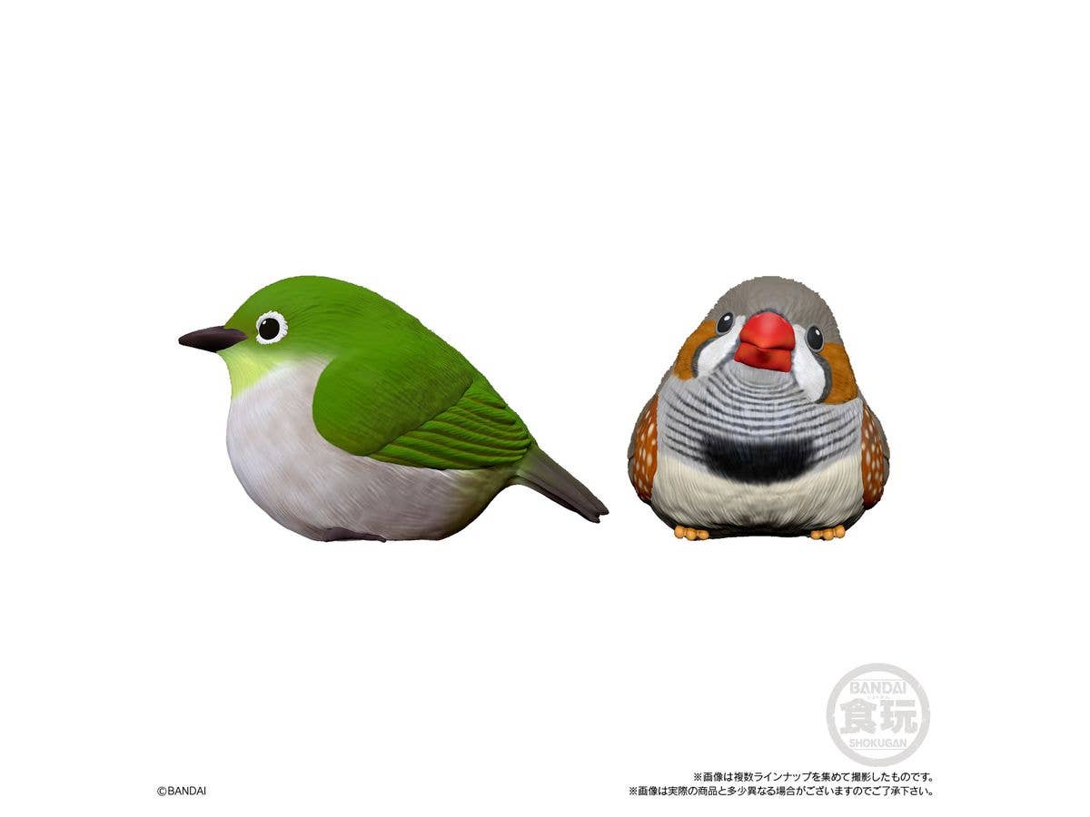 BANDAI Tenori Friends 4 Birds (Box/12), Bandai Shokugan Tenori Friends | 4549660628286