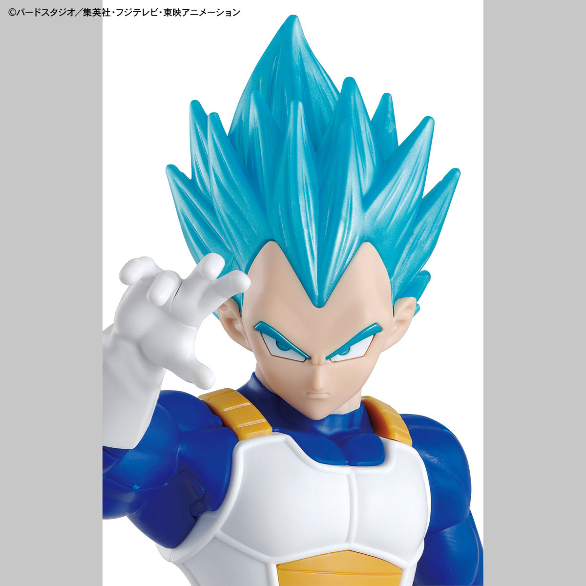 ENTRY GRADE SUPER SAIYAN GOD SUPER SAIYAN VEGETA | 4573102588609