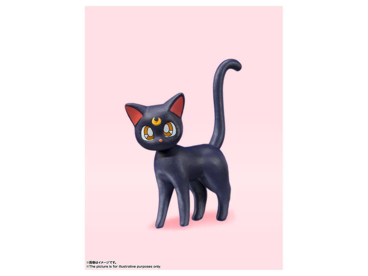 BANDAI Tamashii Sailor Moon -Animation Color Edition- | 4573102595980