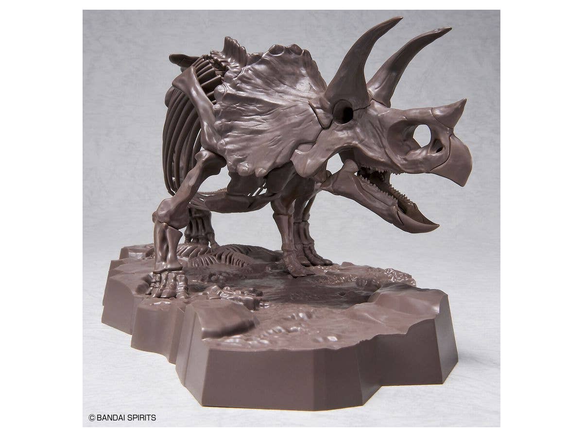 1/32 Imaginary Skeleton Triceratops | 4573102618016