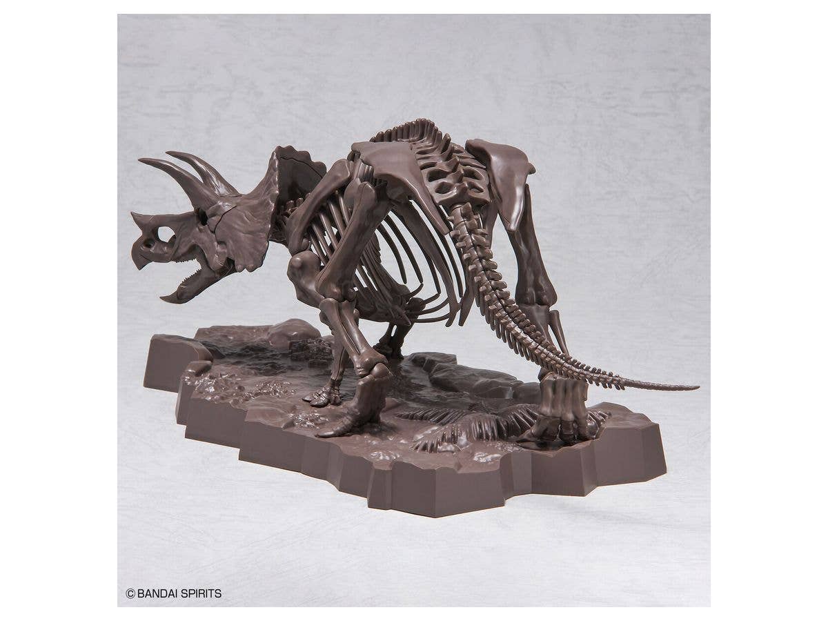 1/32 Imaginary Skeleton Triceratops | 4573102618016