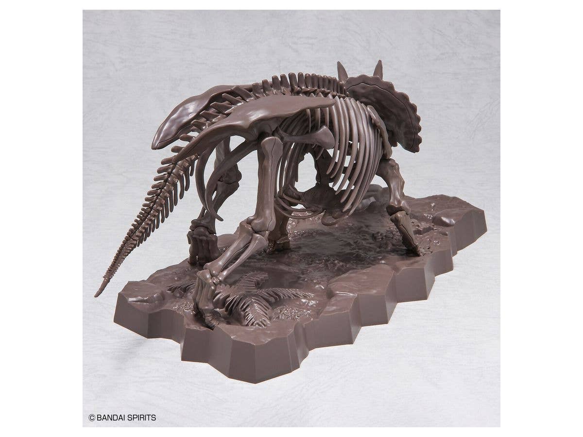 1/32 Imaginary Skeleton Triceratops | 4573102618016