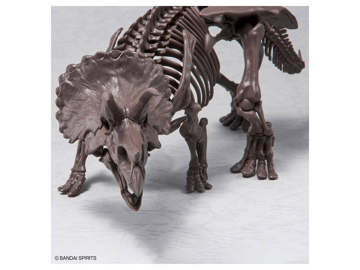 1/32 Imaginary Skeleton Triceratops | 4573102618016