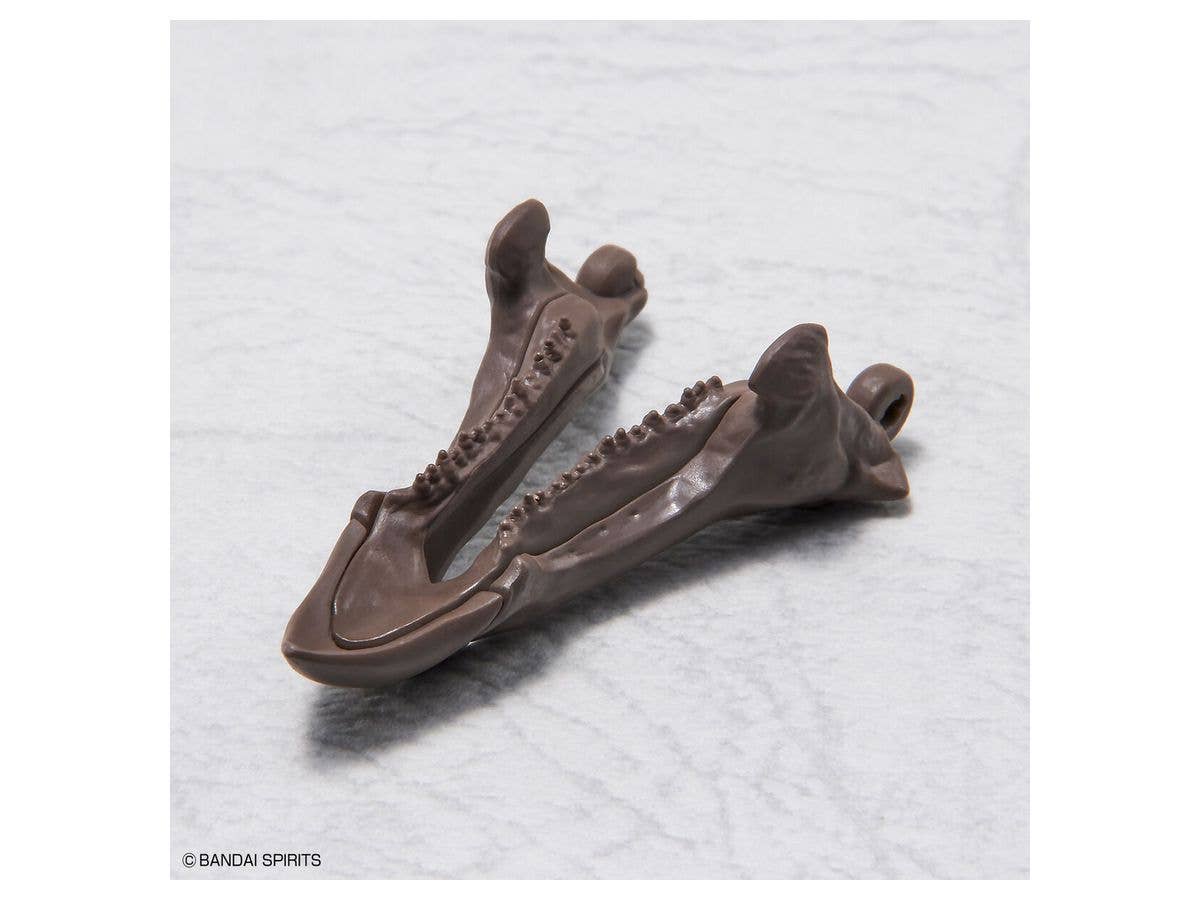 1/32 Imaginary Skeleton Triceratops | 4573102618016