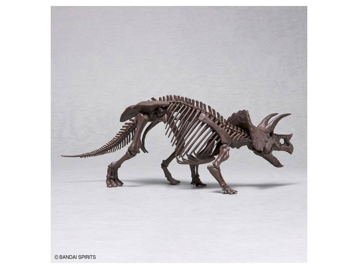1/32 Imaginary Skeleton Triceratops | 4573102618016