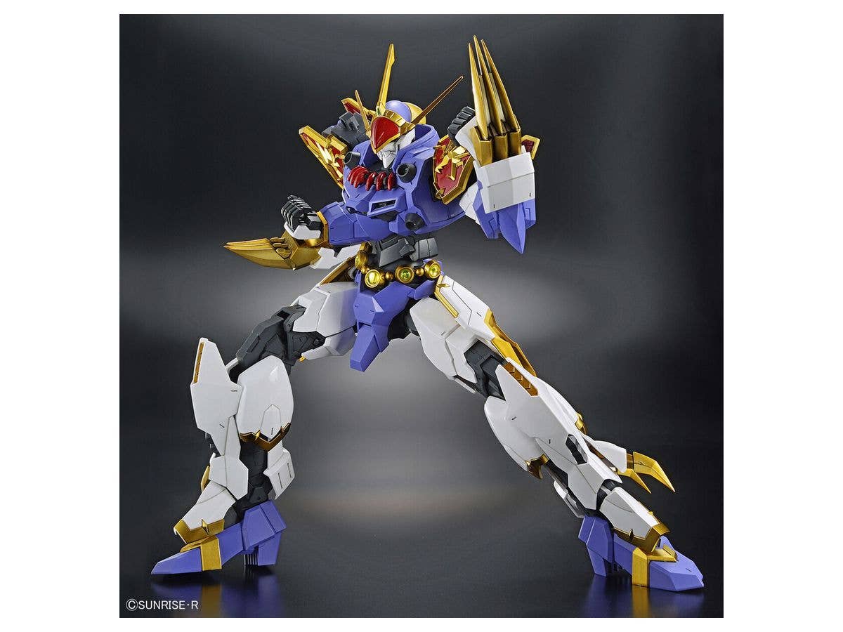 HG Amplified IMGN RYUJINMARU | 4573102633675