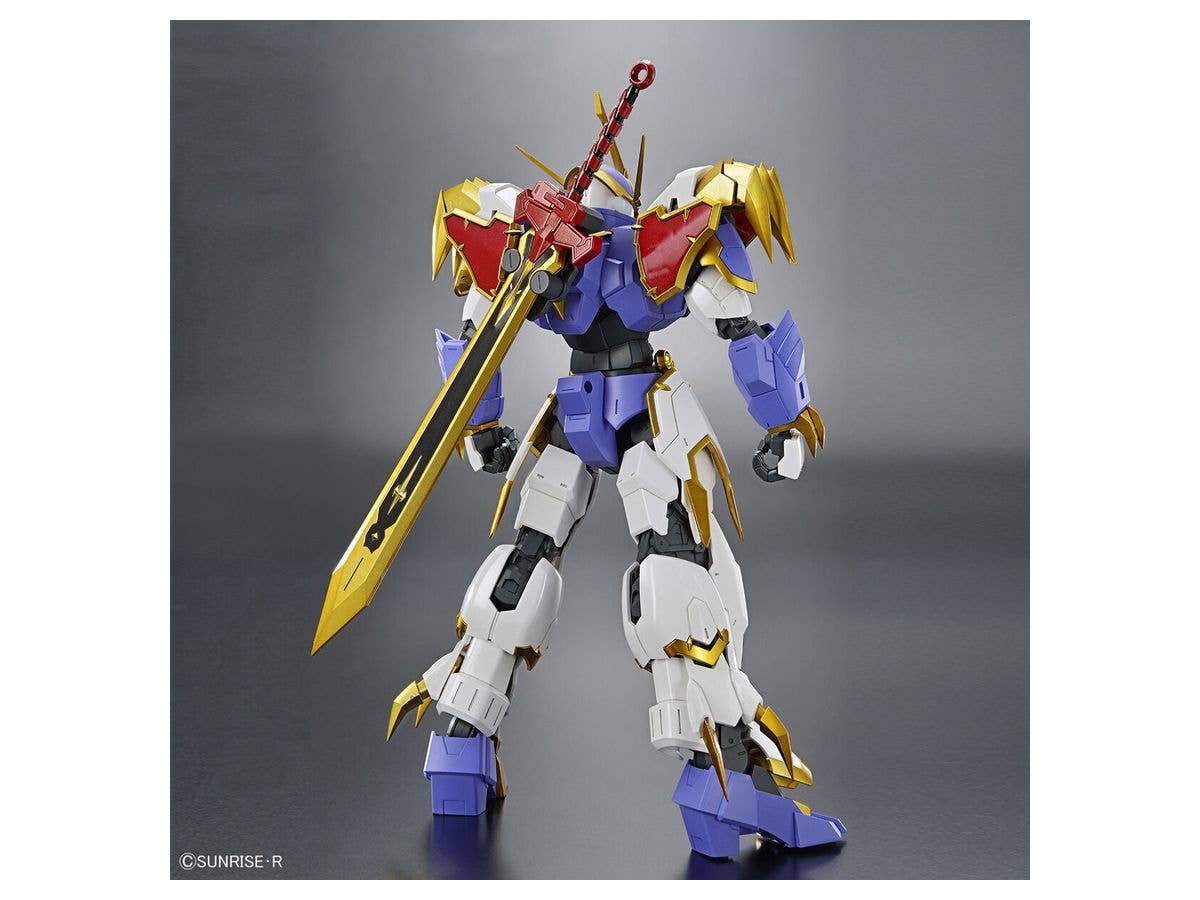 HG Amplified IMGN RYUJINMARU | 4573102633675