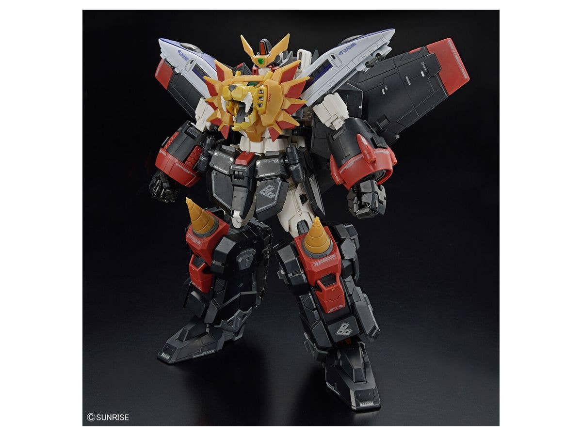 RG GAOGAIGAR | 4573102633989