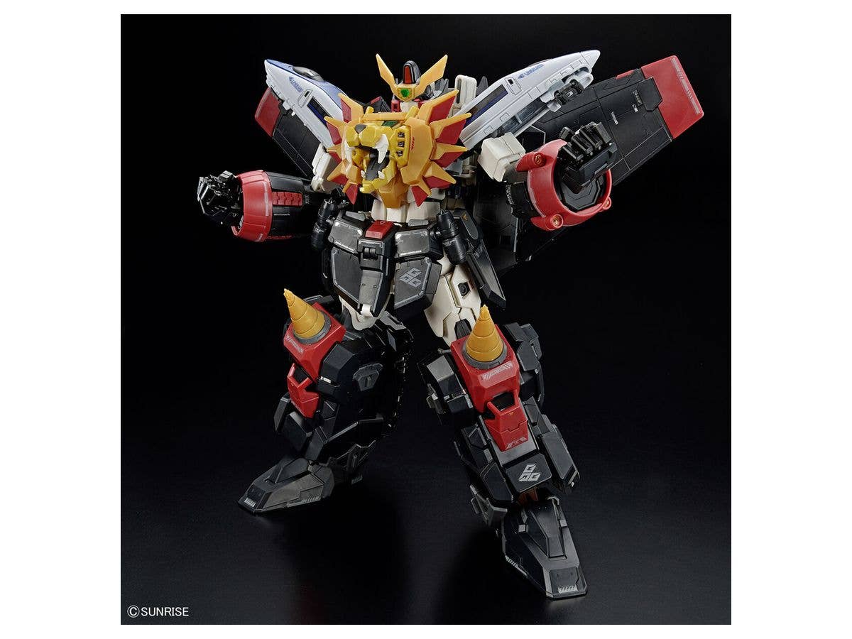 RG GAOGAIGAR | 4573102633989