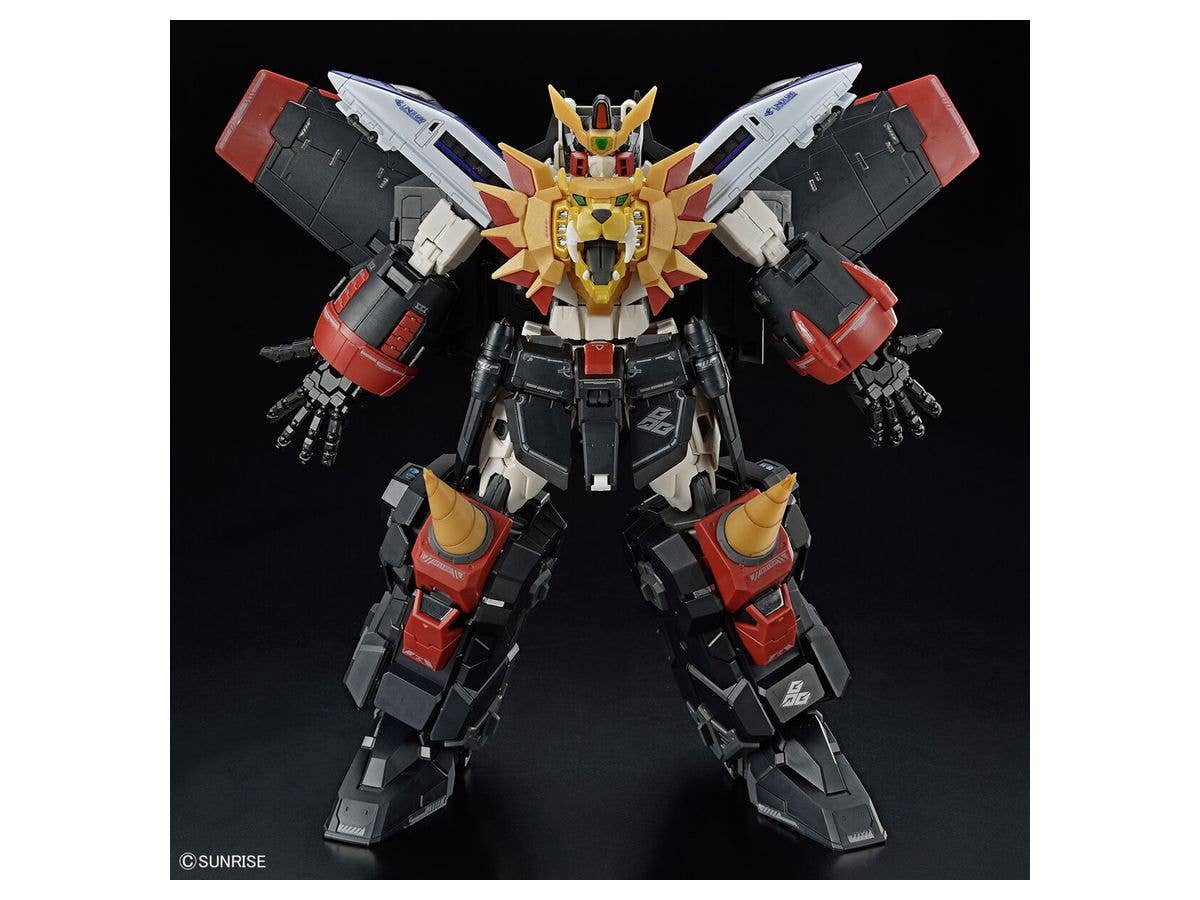 RG GAOGAIGAR | 4573102633989