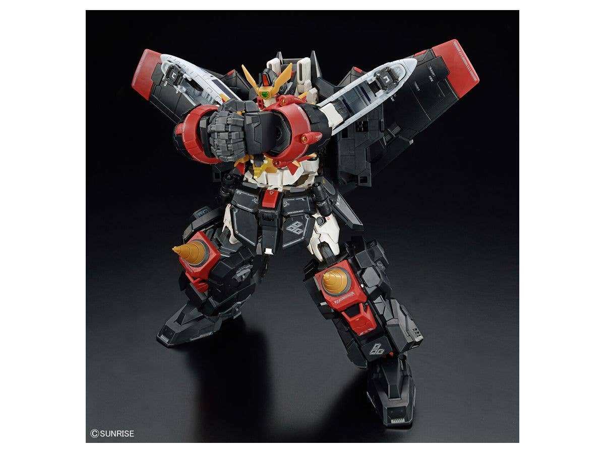 RG GAOGAIGAR | 4573102633989