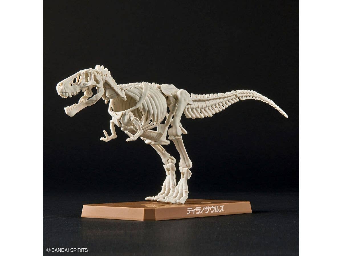 New Dinosaur Plastic Model Kit Brand Tyrannosaurus | 4573102642622