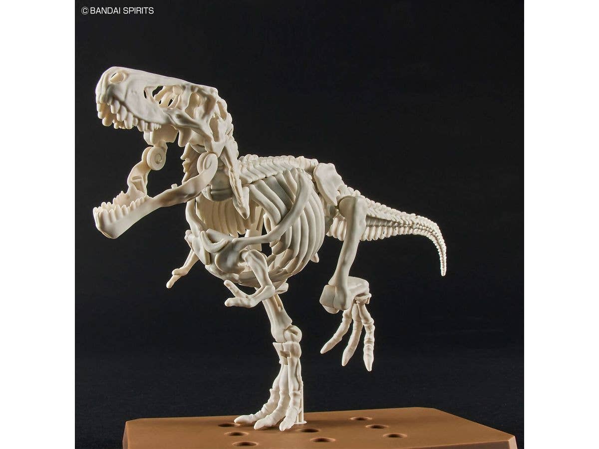 New Dinosaur Plastic Model Kit Brand Tyrannosaurus | 4573102642622