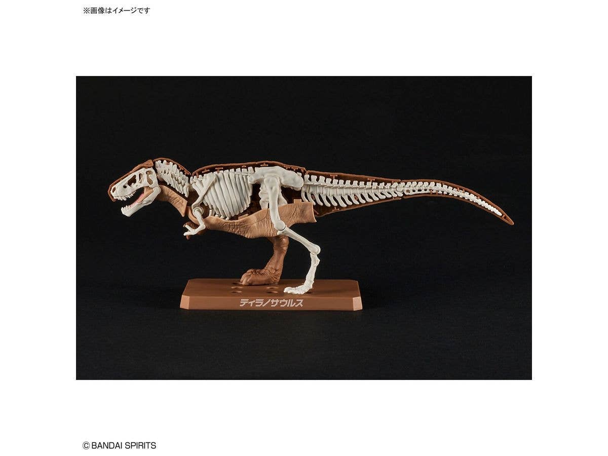 New Dinosaur Plastic Model Kit Brand Tyrannosaurus | 4573102642622