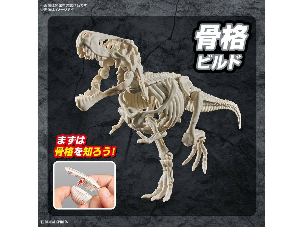 New Dinosaur Plastic Model Kit Brand Tyrannosaurus | 4573102642622