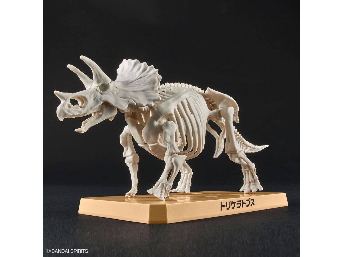 New Dinosaur Plastic Model Kit Brand Triceratops | 4573102642639