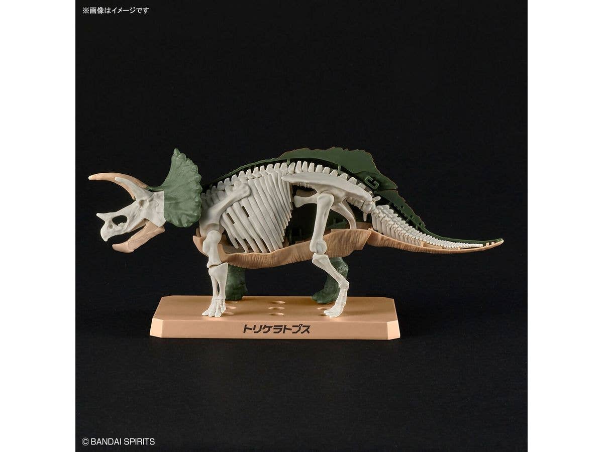 New Dinosaur Plastic Model Kit Brand Triceratops | 4573102642639
