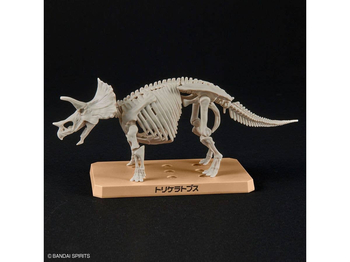 New Dinosaur Plastic Model Kit Brand Triceratops | 4573102642639