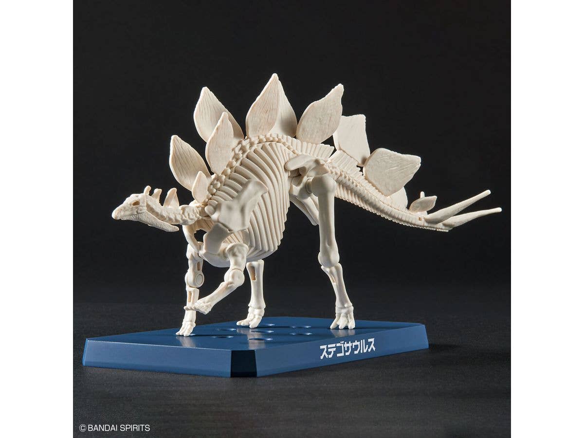 New Dinosaur Plastic Model Kit Brand Stegosaurus | 4573102651105