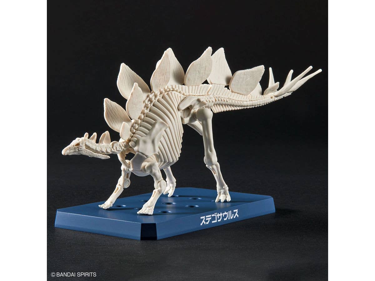 New Dinosaur Plastic Model Kit Brand Stegosaurus | 4573102651105