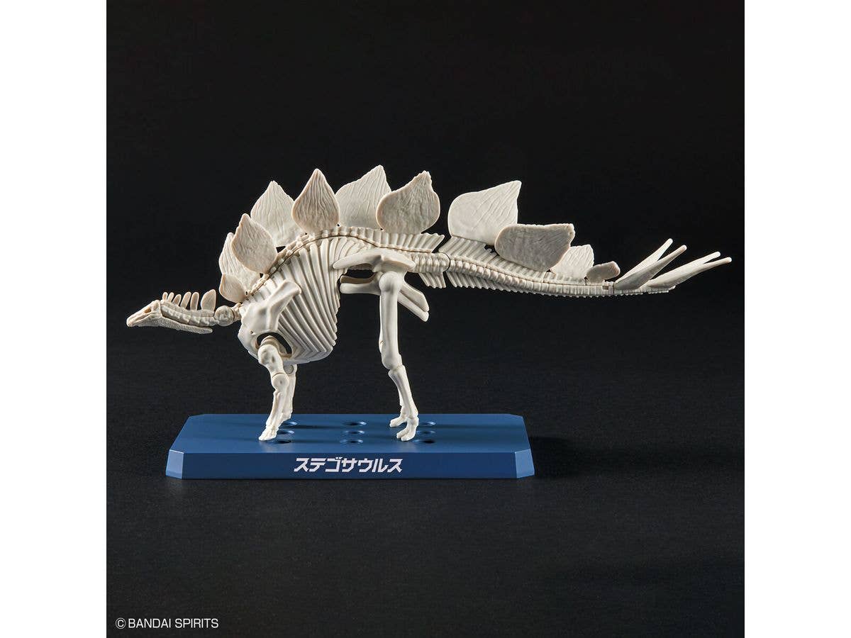 New Dinosaur Plastic Model Kit Brand Stegosaurus | 4573102651105