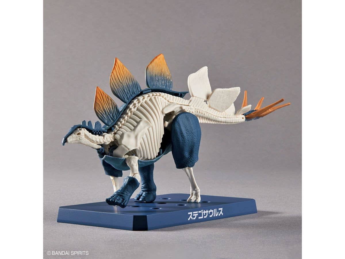New Dinosaur Plastic Model Kit Brand Stegosaurus | 4573102651105