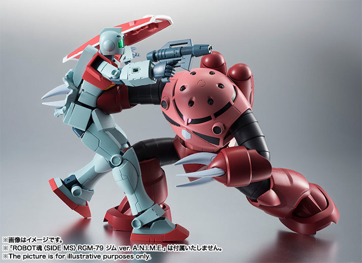 BANDAI Spirits MSM-07S Z'GOK Char's Custom Model ver. A.N.I.M.E. | 4573102653291