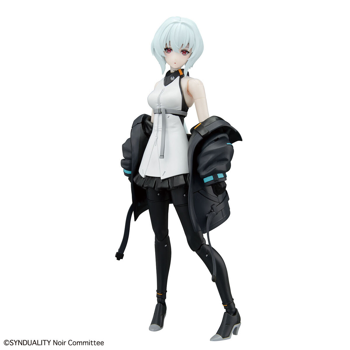 BANDAI Hobby Figure-rise Standard NOIR(4573102654250)