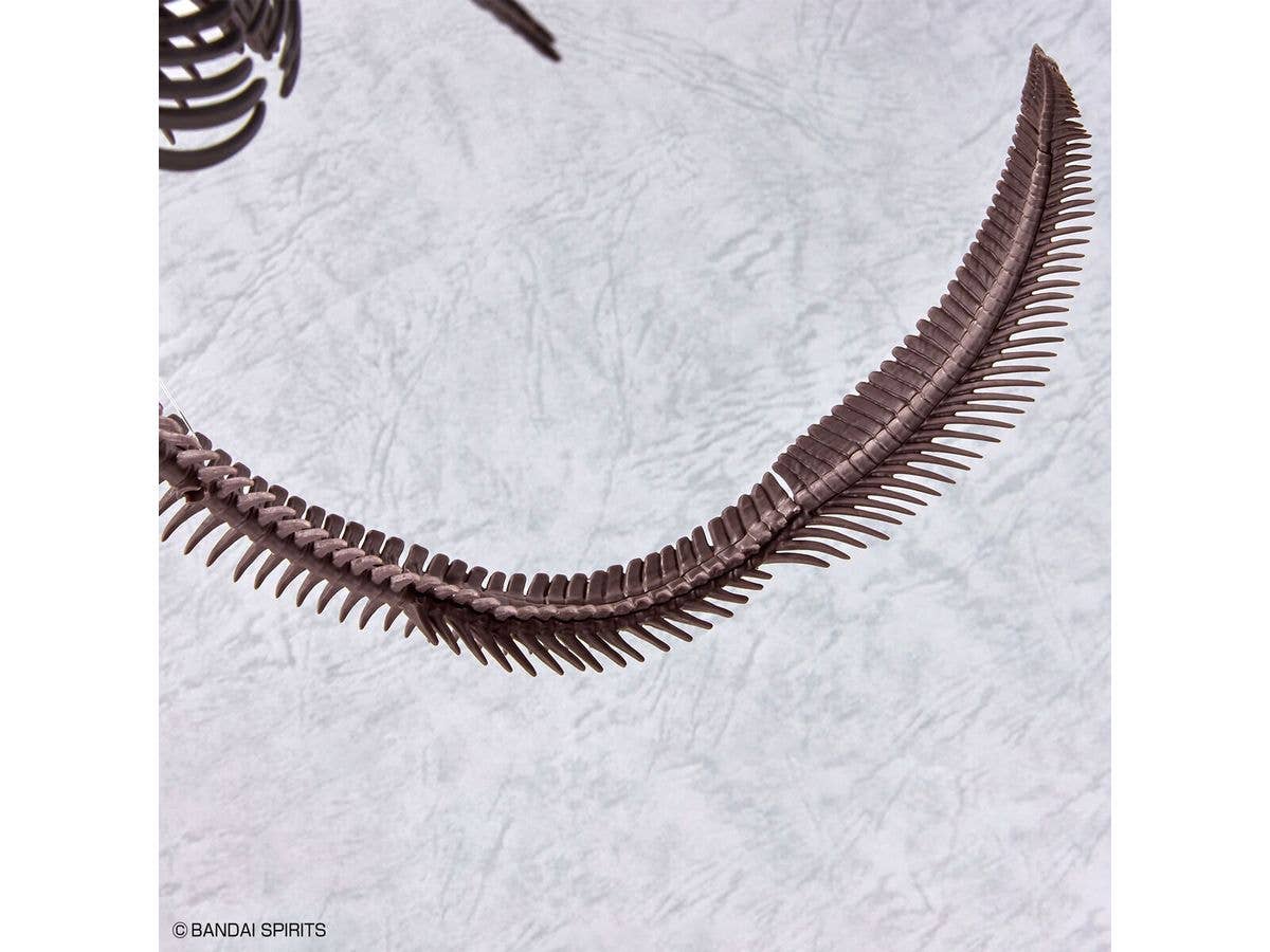 1/32 Imaginary Skeleton Mosasaurus | 4573102654281