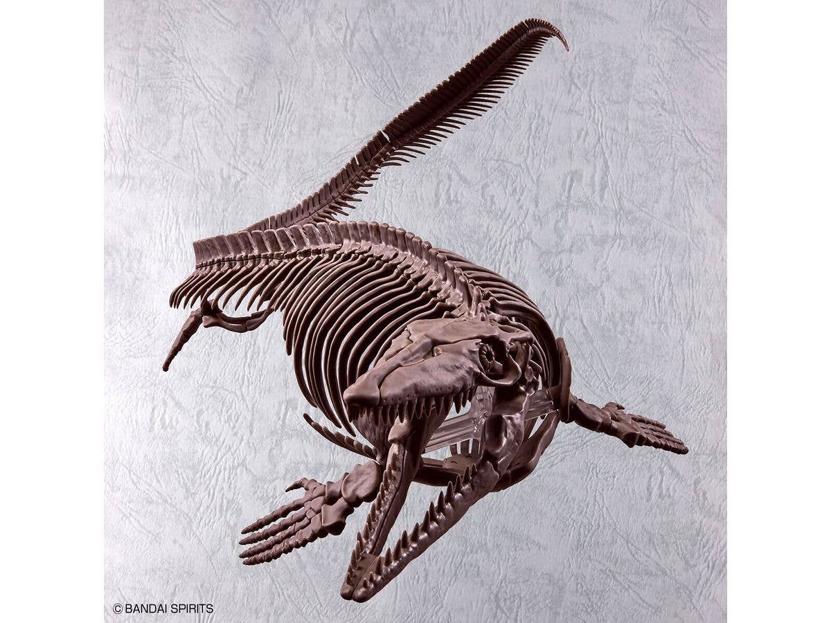 1/32 Imaginary Skeleton Mosasaurus | 4573102654281