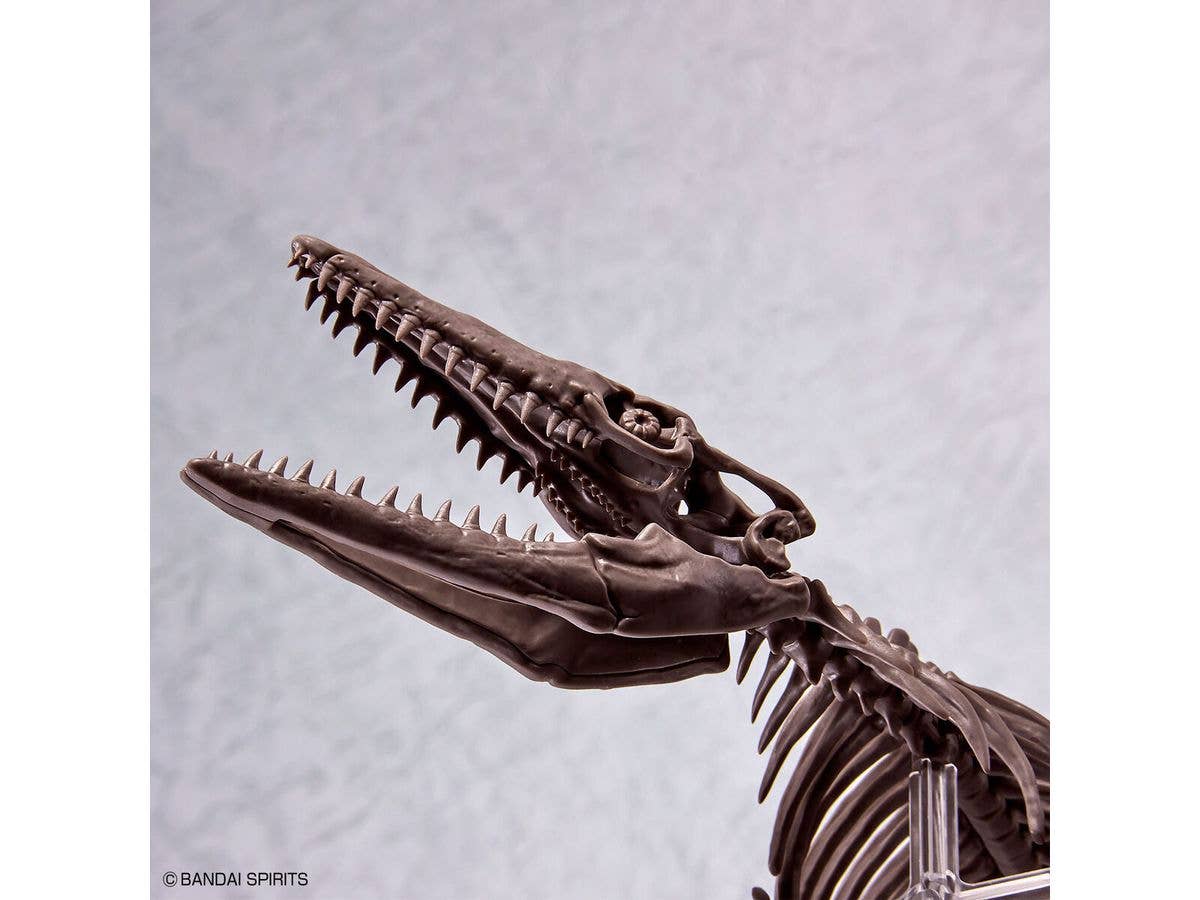 1/32 Imaginary Skeleton Mosasaurus | 4573102654281