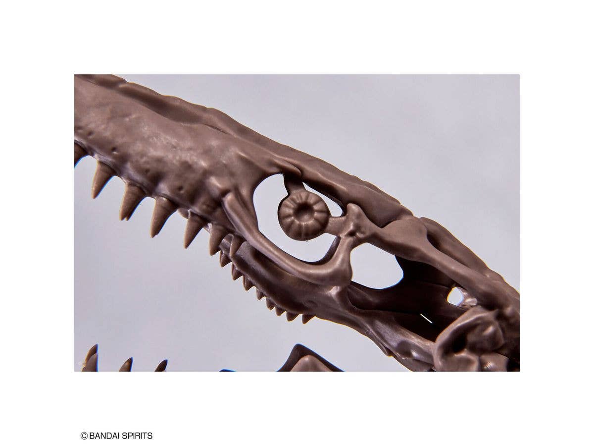 1/32 Imaginary Skeleton Mosasaurus | 4573102654281