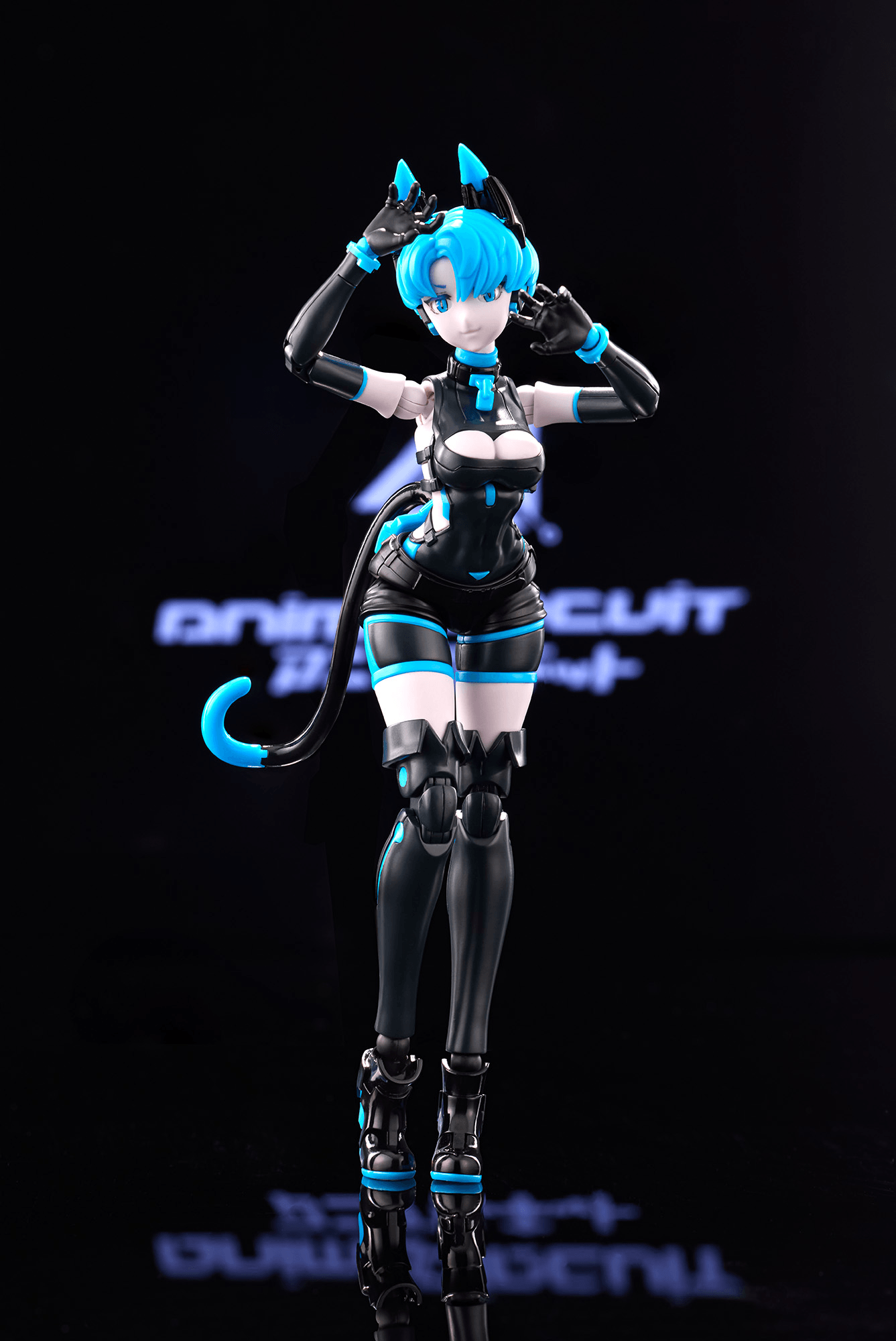 Anima Circuit – Sora the Cat SP | 4589642718154