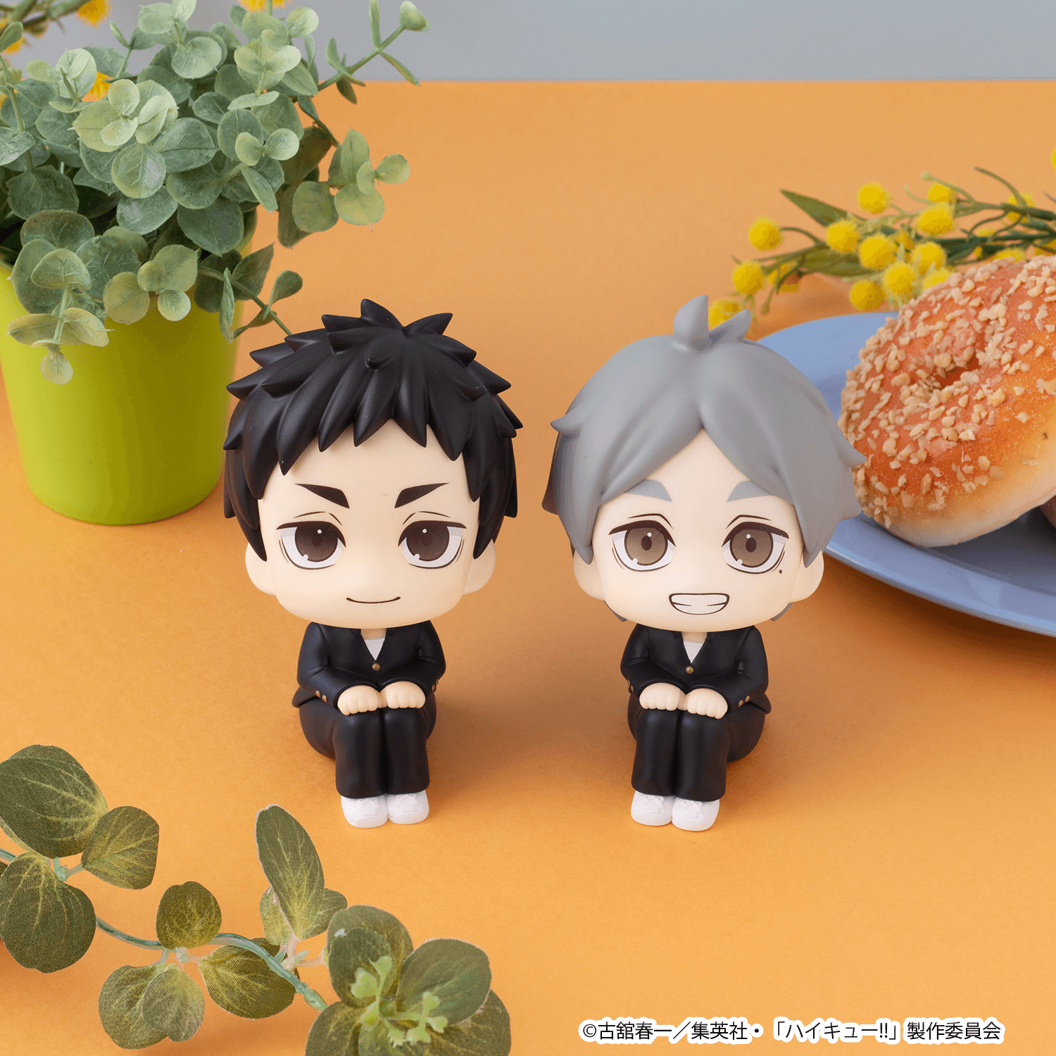 Lookup Haikyu!! Koushi Sugawara | 4535123851018
