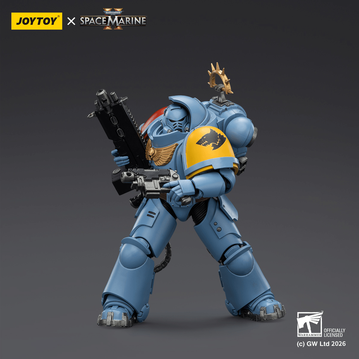 Game Edition Space Wolves Heavy Intercessor with Heavy Bolt Rifle and Bolt Pistol | 6927054403646