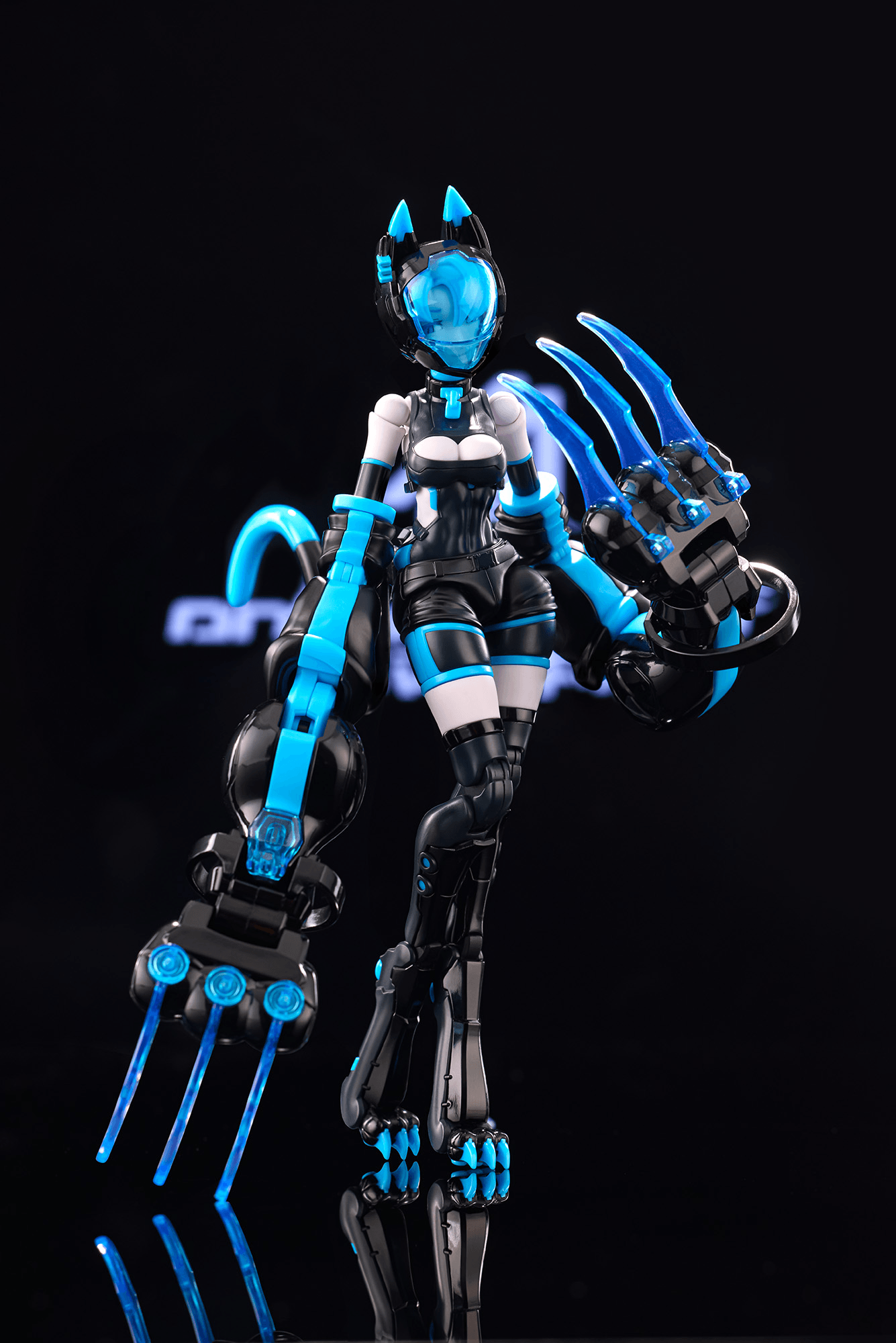 Anima Circuit – Sora the Cat SP | 4589642718154